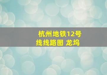 杭州地铁12号线线路图 龙坞